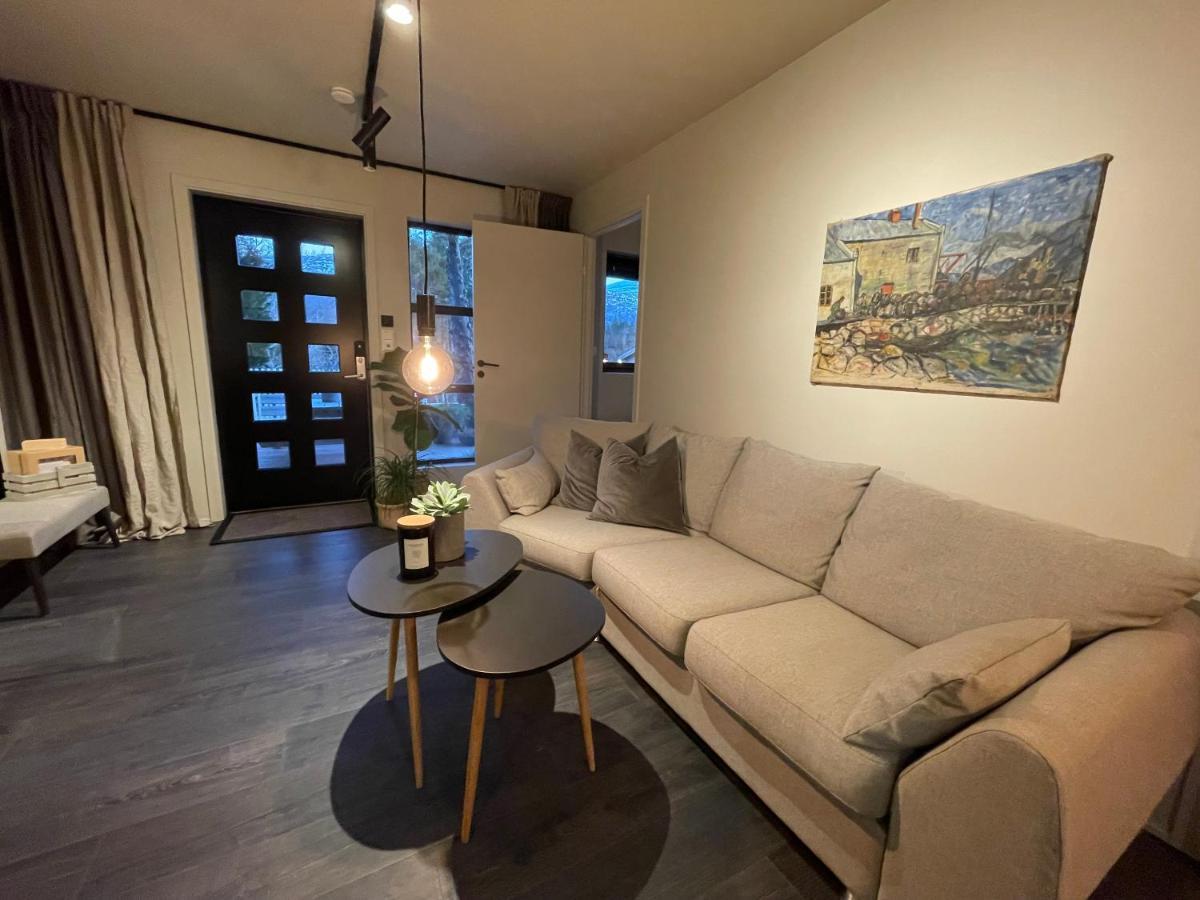 Studio Leilighet, Nyoppusset Langevag Esterno foto